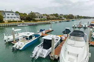 53 Morgan's Cove Dr, Isle Of Palms, SC 29451 - Photo 75