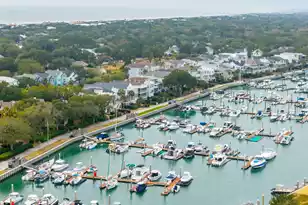 53 Morgan's Cove Dr, Isle Of Palms, SC 29451 - Photo 81