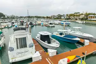 53 Morgan's Cove Dr, Isle Of Palms, SC 29451 - Photo 73