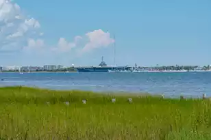 55 Concord St, Charleston, SC 29401 - Photo 61