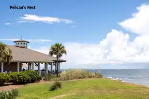 2909 Seabrook Island Rd, Seabrook Island, SC 29455 - Photo 55