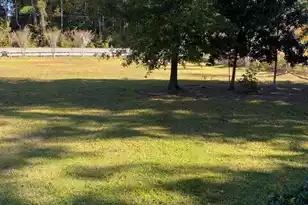 1229 Porchers Bluff Rd, Mount Pleasant, SC 29464 - Photo 5