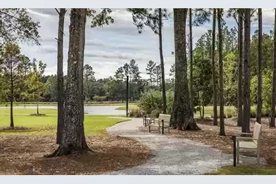 1040 Patagonia Street, Summerville, SC 29485 - Photo 19