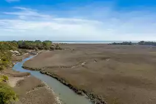 1232 Creek Watch Trace, Seabrook Island, SC 29455 - Photo 3