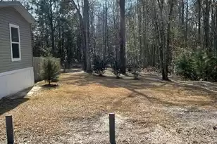 5976 Pleasant Grove Rd, Walterboro, SC 29488 - Photo 5