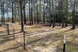 5976 Pleasant Grove Rd, Walterboro, SC 29488 - Photo 27