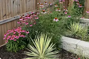 129 Ancestry Ln, Moncks Corner, SC 29461 - Photo 43