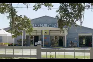 412 Caledon Ct, Johns Island, SC 29455 - Photo 47