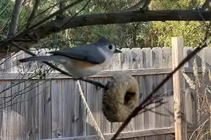 3348 Island Estates Dr, Johns Island, SC 29455 - Photo 31