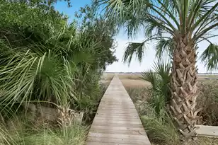 1352 Headquarters Plantation Dr, Johns Island, SC 29455 - Photo 3