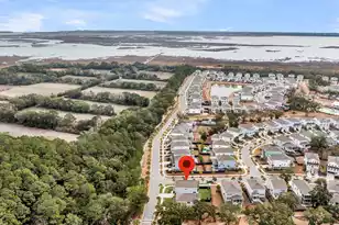 1581 Cultivation Ln, Mount Pleasant, SC 29466 - Photo 53