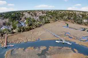 3335 Cottonfield Dr, Mount Pleasant, SC 29466 - Photo 63