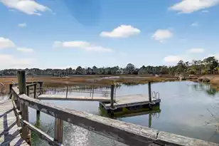 3335 Cottonfield Dr, Mount Pleasant, SC 29466 - Photo 33