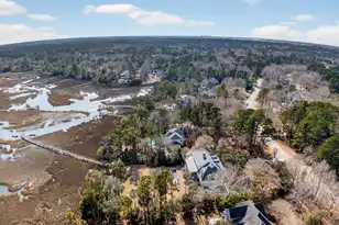 3335 Cottonfield Dr, Mount Pleasant, SC 29466 - Photo 63