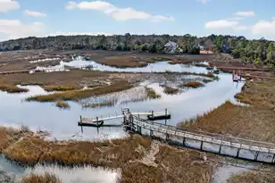 3335 Cottonfield Dr, Mount Pleasant, SC 29466 - Photo 33
