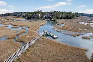 3335 Cottonfield Dr, Mount Pleasant, SC 29466 - Photo 67