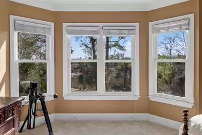 3335 Cottonfield Drive, Mount Pleasant, SC 29466 - Photo 43