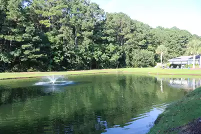 1300 Park West Boulevard #Unit 401, Mount Pleasant, SC 29466 - Photo 27