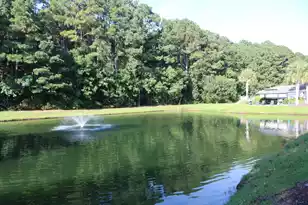 1300 Park West Blvd, Mount Pleasant, SC 29466 - Photo 27