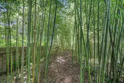 901 Red Coat Run, Mount Pleasant, SC 29464 - Photo 71