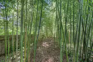 901 Red Coat Run, Mount Pleasant, SC 29464 - Photo 71