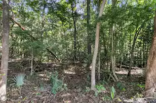 1854 Oleander Ct, Charleston, SC 29414 - Photo 43