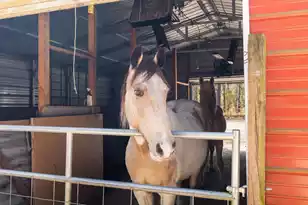 371 Rhode Dr, Cottageville, SC 29435 - Photo 9