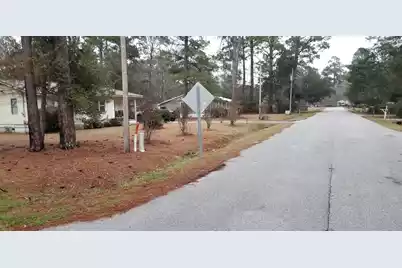 309 Pine Needle Road, Walterboro, SC 29488 - Photo 3