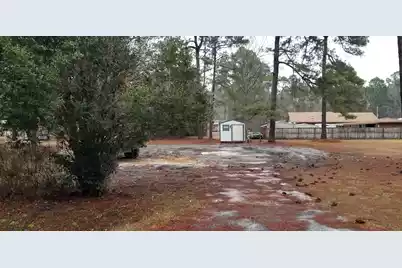 309 Pine Needle Road, Walterboro, SC 29488 - Photo 1