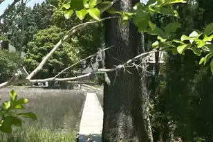 2349 Town Woods Rd, Charleston, SC 29414 - Photo 5