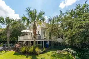 396 Evian Way, Mount Pleasant, SC 29464 - Photo 59