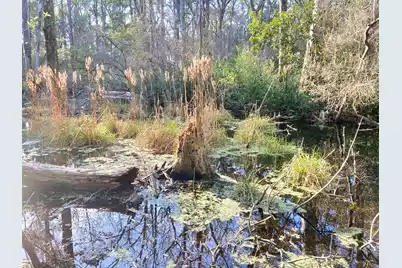 6079 Josie Ridge Road, Wadmalaw Island, SC 29487 - Photo 31