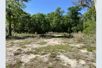 6079 Josie Ridge Road, Wadmalaw Island, SC 29487 - Photo 9