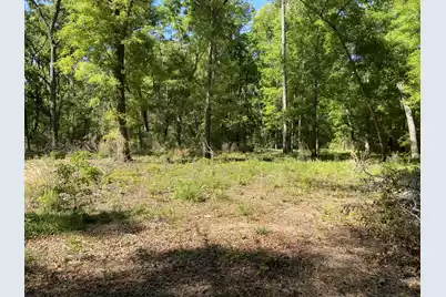 6079 Josie Ridge Road, Wadmalaw Island, SC 29487 - Photo 13
