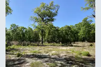 6079 Josie Ridge Road, Wadmalaw Island, SC 29487 - Photo 1