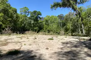 6079 Josie Ridge Rd, Wadmalaw Island, SC 29487 - Photo 1