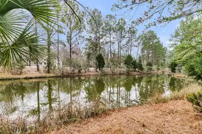 4409 Downing Place Way, Mount Pleasant, SC 29466 - Photo 43