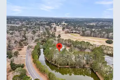 4409 Downing Place Way, Mount Pleasant, SC 29466 - Photo 53