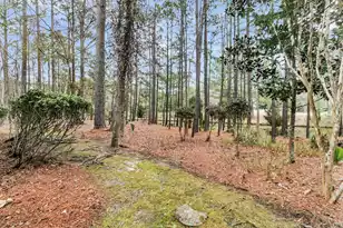4409 Downing Pl Way, Mount Pleasant, SC 29466 - Photo 45