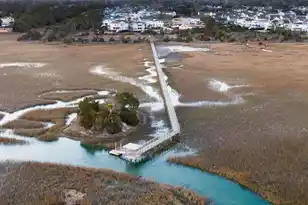 1489 Red Tide Rd, Mount Pleasant, SC 29466 - Photo 95