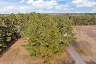477 Grooms Rd, Cross, SC 29436 - Photo 45