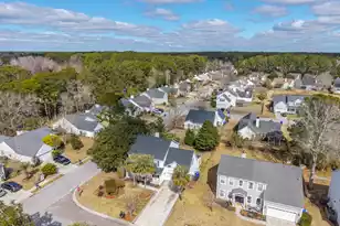 2339 Parsonage Woods Ln, Mount Pleasant, SC 29466 - Photo 61