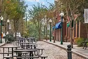 216 Carolina Ave W, Summerville, SC 29483 - Photo 53