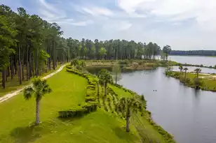 685 Hilchot Dr, Summerville, SC 29486 - Photo 47