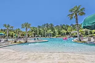 2104 Williams Veneer Ct, Mount Pleasant, SC 29466 - Photo 73