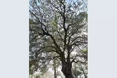 1645 Cuffy Lane, Charleston, SC 29412 - Photo 17