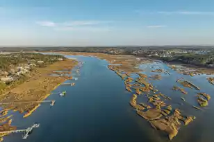 1455 Alligator Creek Ct, Awendaw, SC 29429 - Photo 89