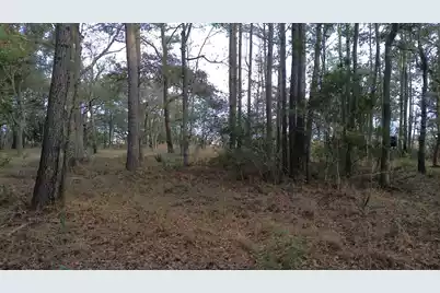 0 Two Pines Road, McClellanville, SC 29458 - Photo 19