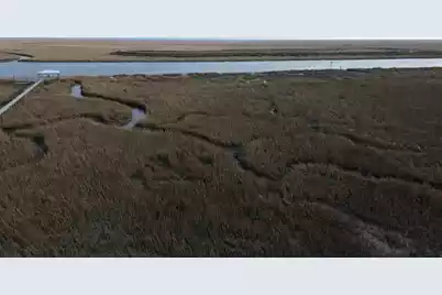 0 Two Pines Road, McClellanville, SC 29458 - Photo 9