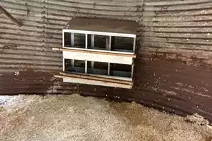 2407 Old State Rd, Cameron, SC 29030 - Photo 49